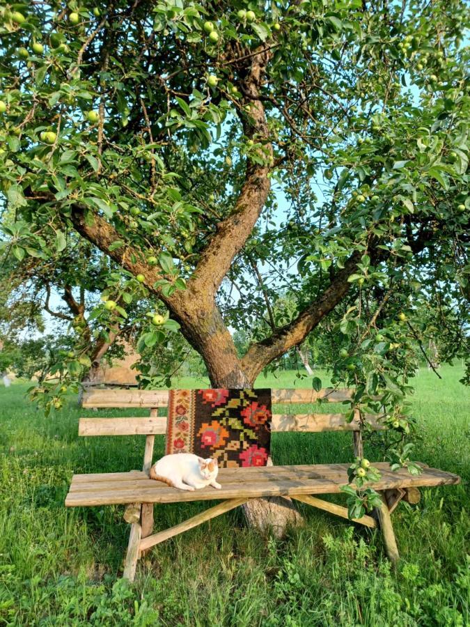 Pensiunea Agroturistica Casa Pribegilor Breb Luaran gambar