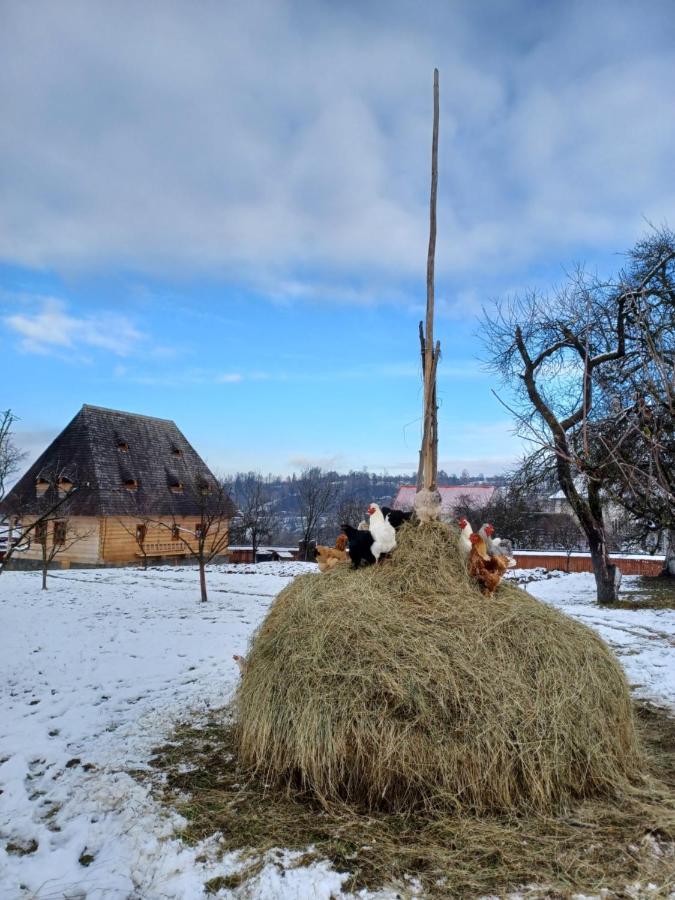 Pensiunea Agroturistica Casa Pribegilor Breb Luaran gambar